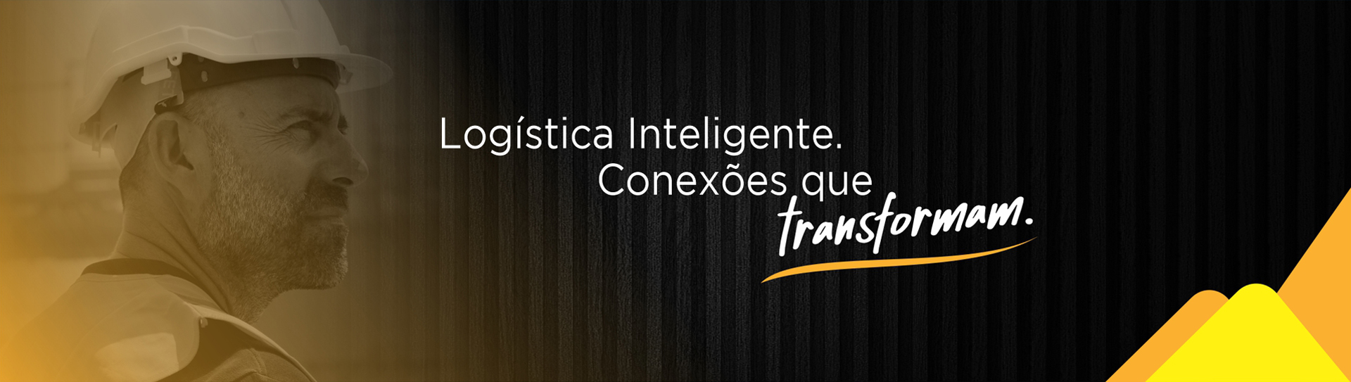 Lógica Inteligente
